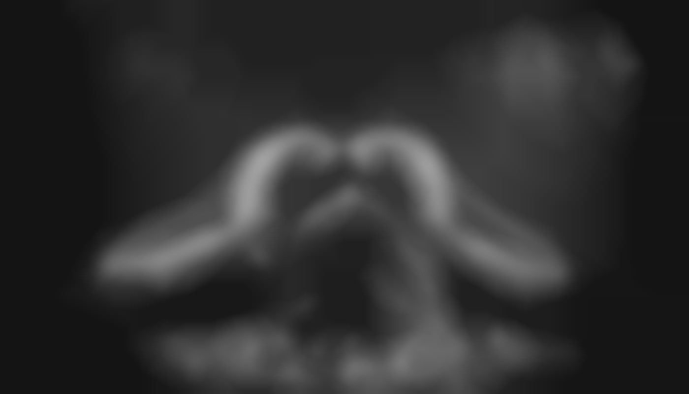 Comment l'élégance et l'autorité façonnent-elles les rencontres de domination ?